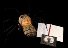 FRANZ KAFKA'S IT'S A WONDERFUL LIFE (1993) - Bug Mask, Production-Used Script and Crew List