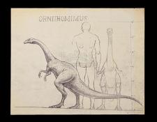 THE VALLEY OF GWANGI (1969) - Ray Harryhausen Ornithominus Scale Comparison